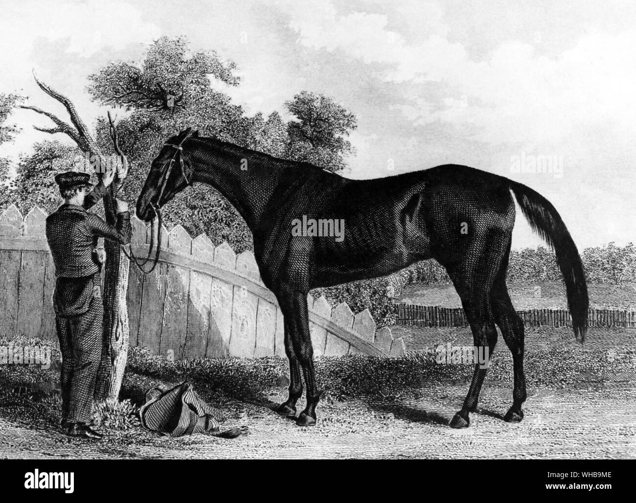 Jockey club fotografías e imágenes de alta resolución Alamy