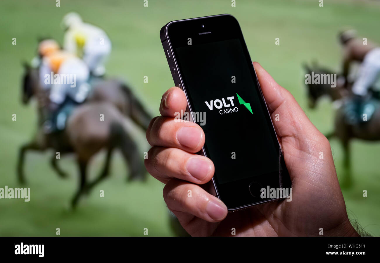 Un hombre mirando el Volt Casino app sitio web mientras estás viendo las carreras de caballos Foto de stock