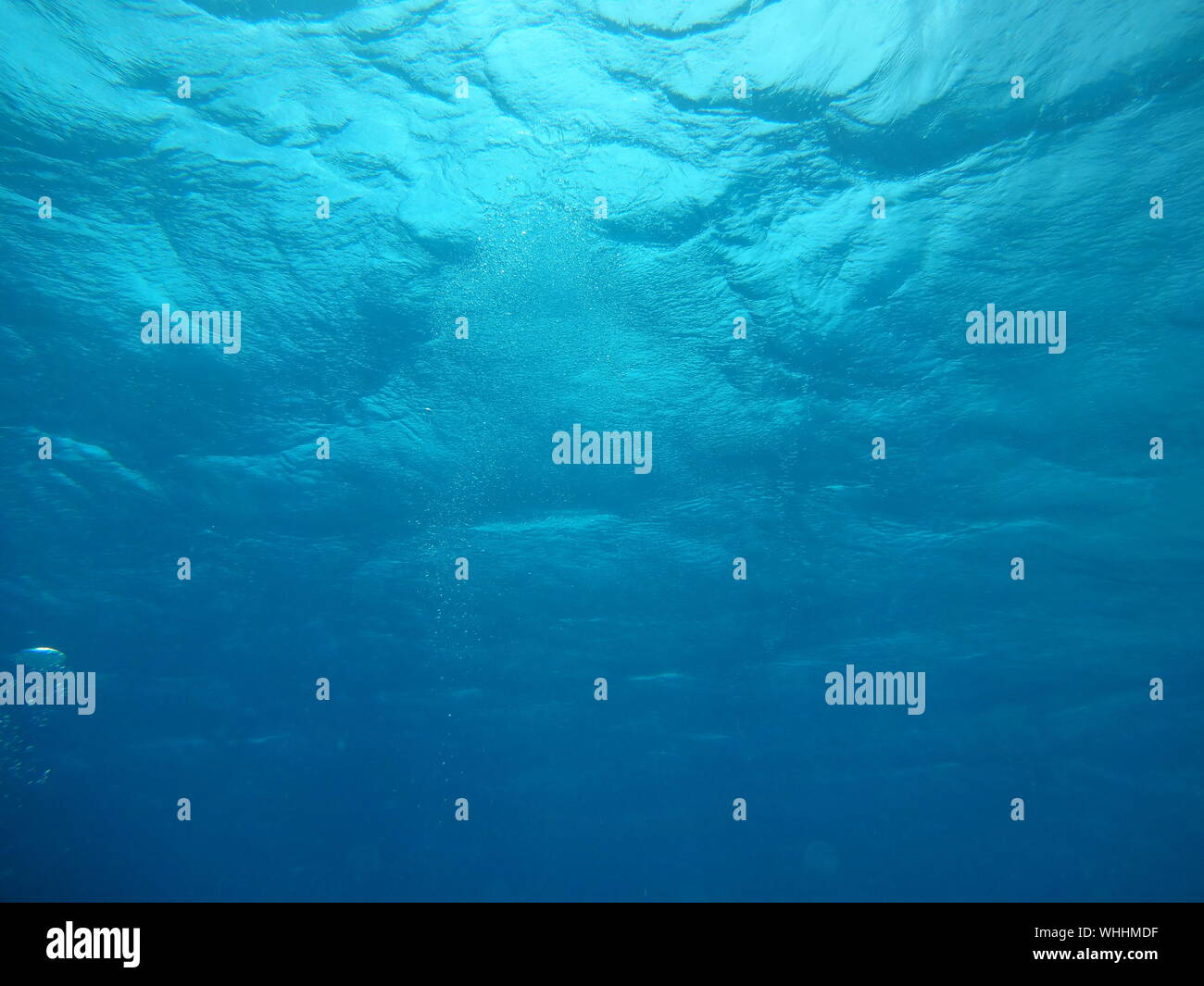 Fotografía submarina de superficie del agua Foto de stock