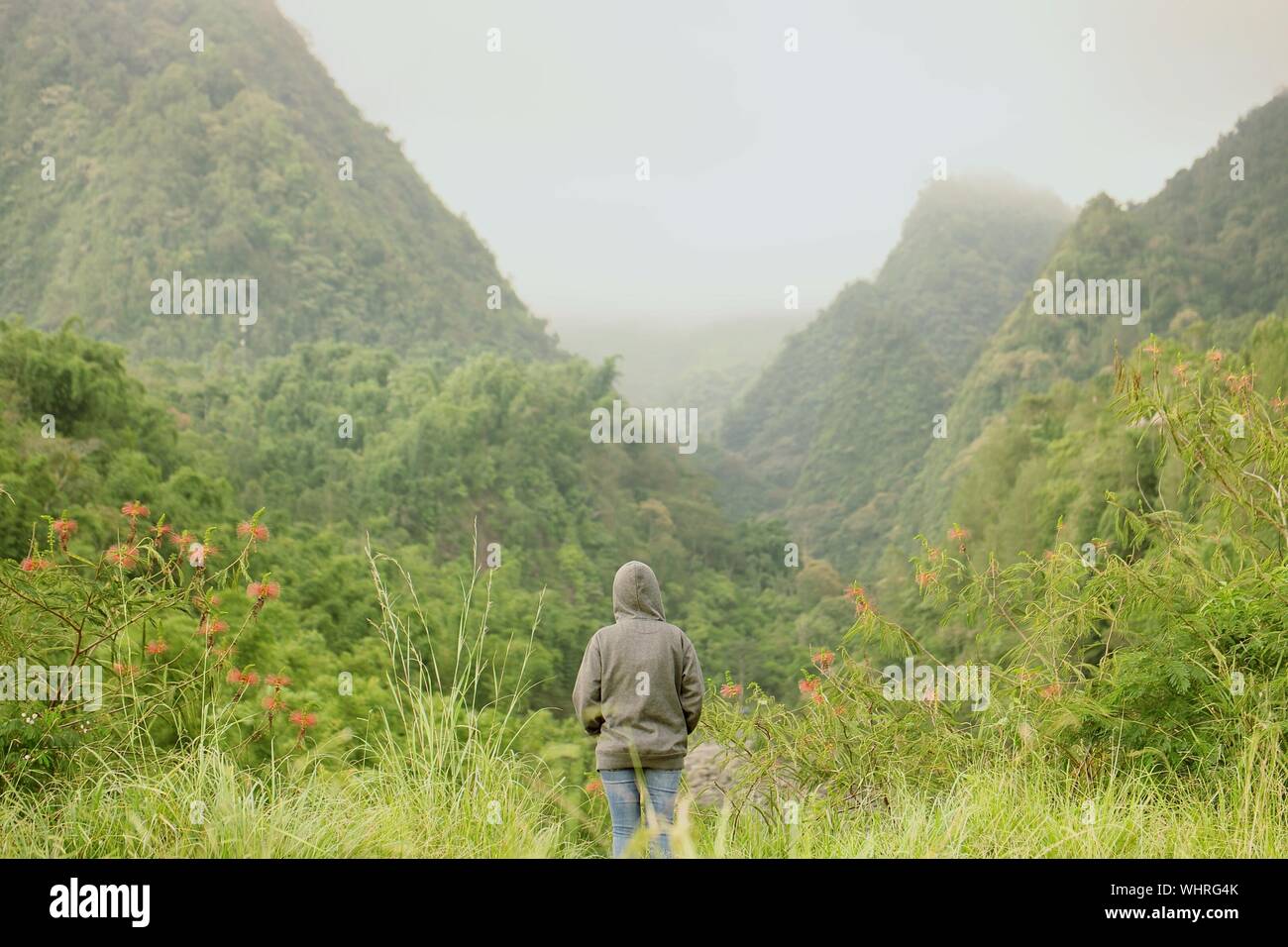 Persona solitaria contemplando las montañas Foto de stock