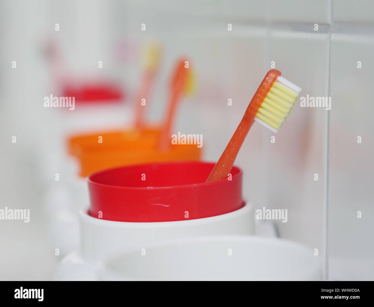 Close-up de cepillos de dientes en contenedores en el baño Foto de stock