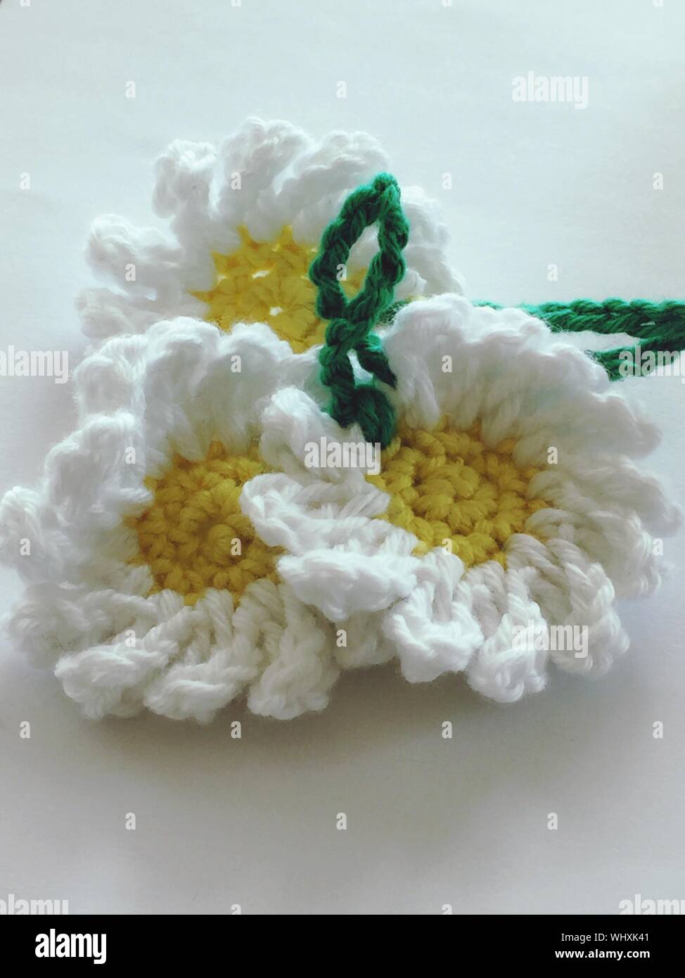 Flores de punto fotografías e imágenes de alta resolución - Alamy Flores de punto fotografías e imágenes de alta resolución - Alamy