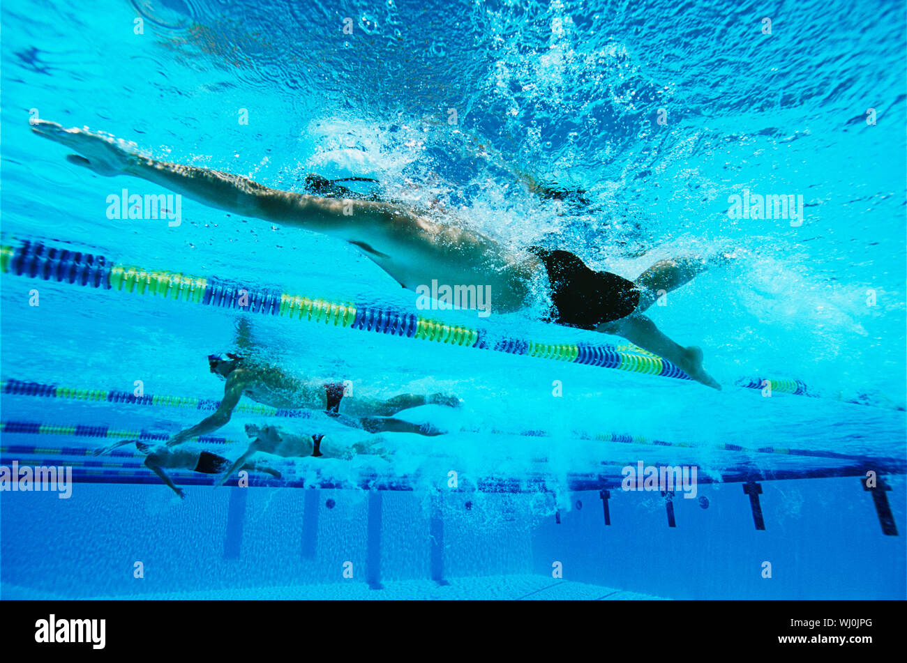 Los nadadores masculinos racing en piscina, vista submarina Foto de stock