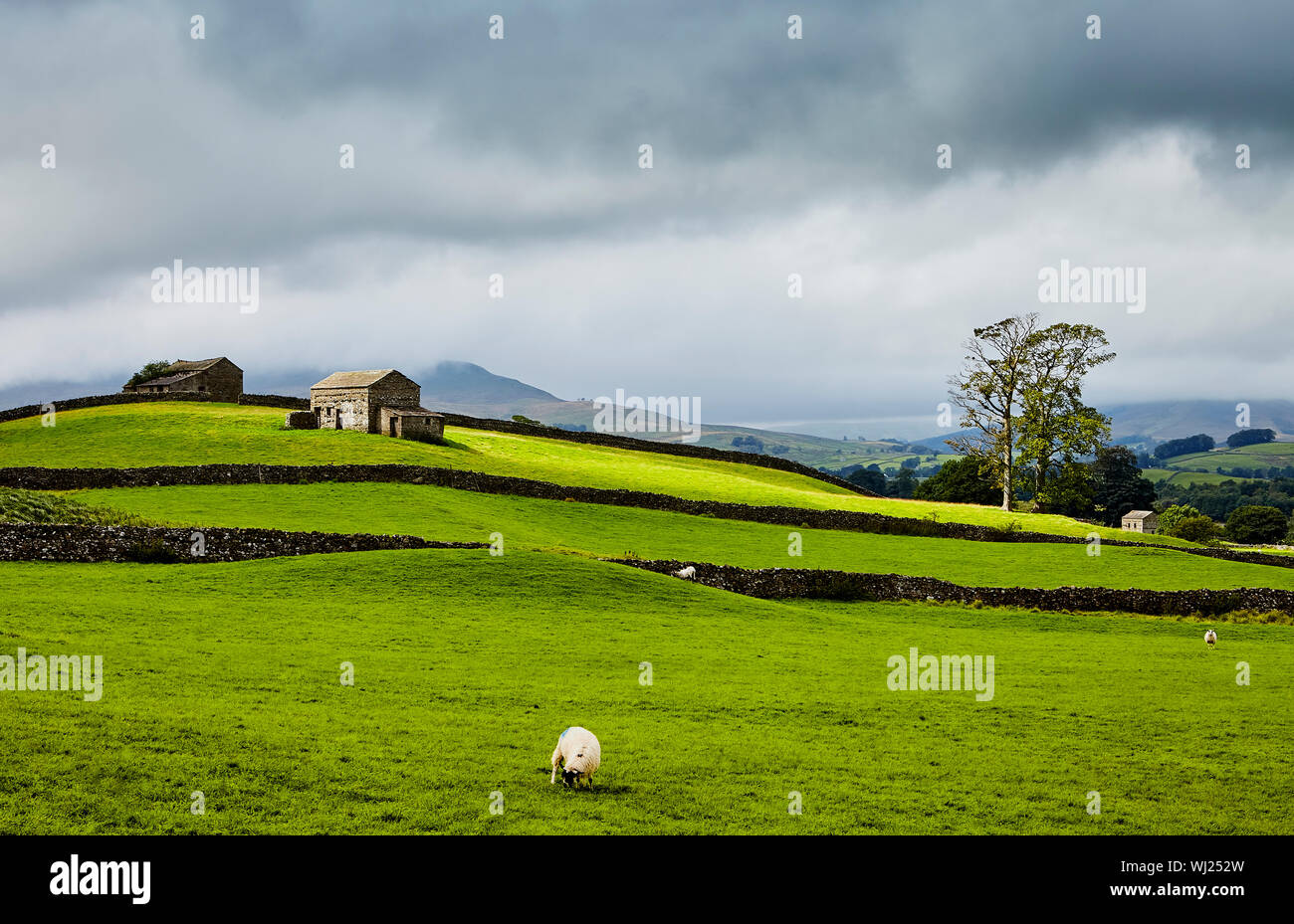 Dales 230819 Foto de stock