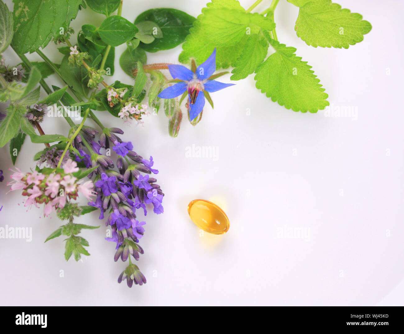 Pastilla de aceite de orégano fotografías e imágenes de alta resolución -  Alamy