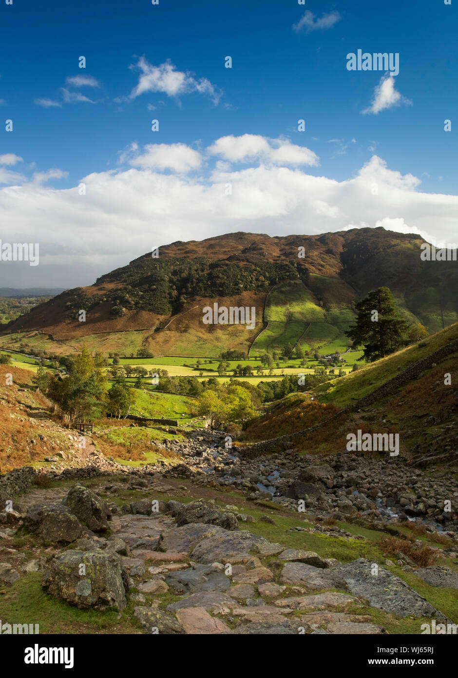 Gran Langdale Valley visto desde Whitegill ravine, Lake District, Cumbria, Reino Unido. Octubre Foto de stock