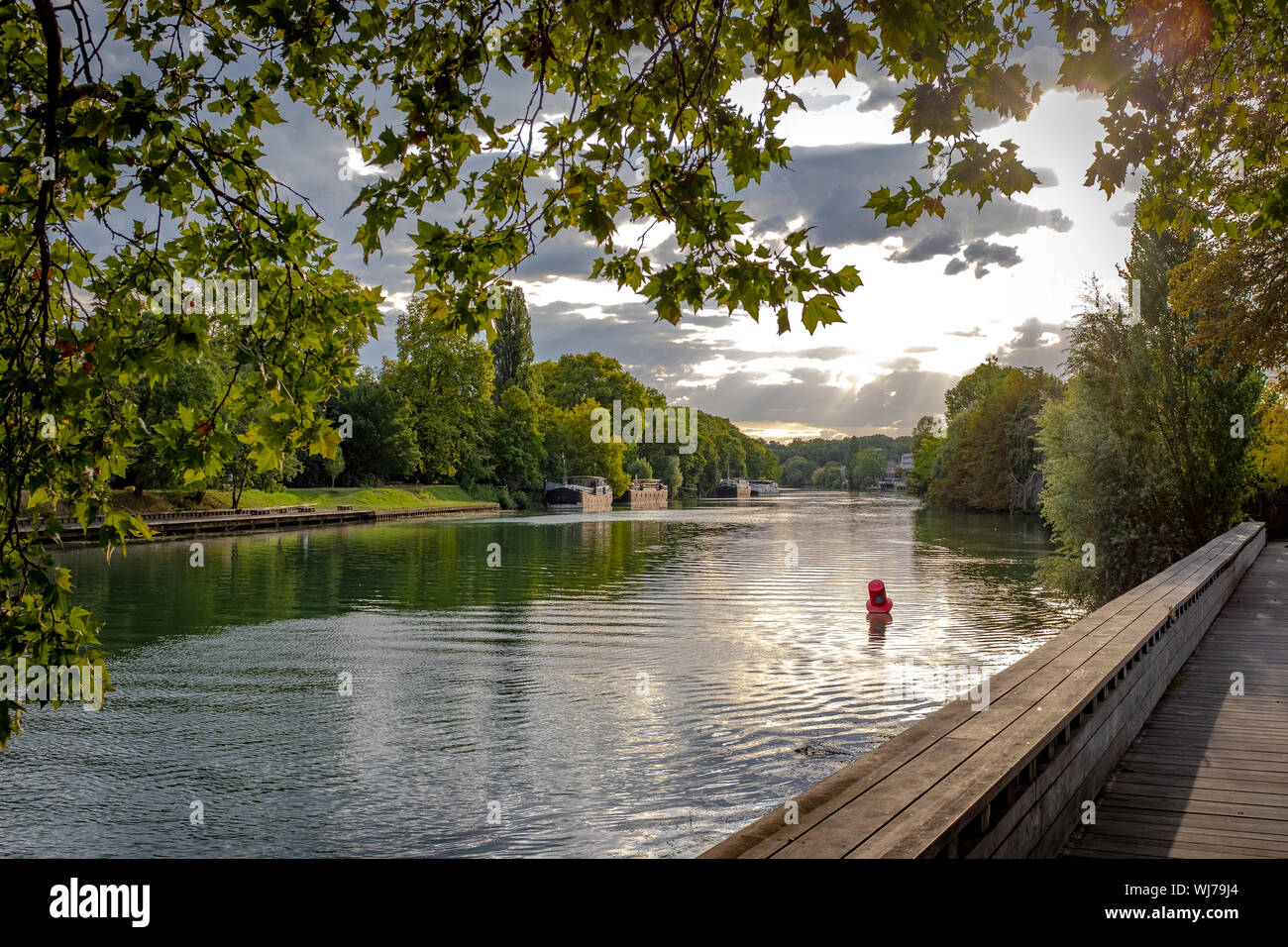Bello final de la tarde la luz en un marco de la vista de los bancos del río Marne. Tomada a finales del verano en Nogent-sur-Marne, cerca de París, Francia Foto de stock