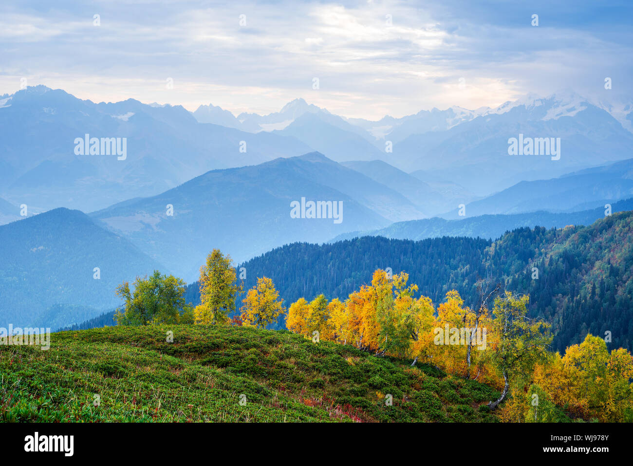 Paisaje de otoño en las montañas. Bosque de abedules en el talud Mkheer mount. Cáucaso, Georgia, Zemo Svaneti Foto de stock