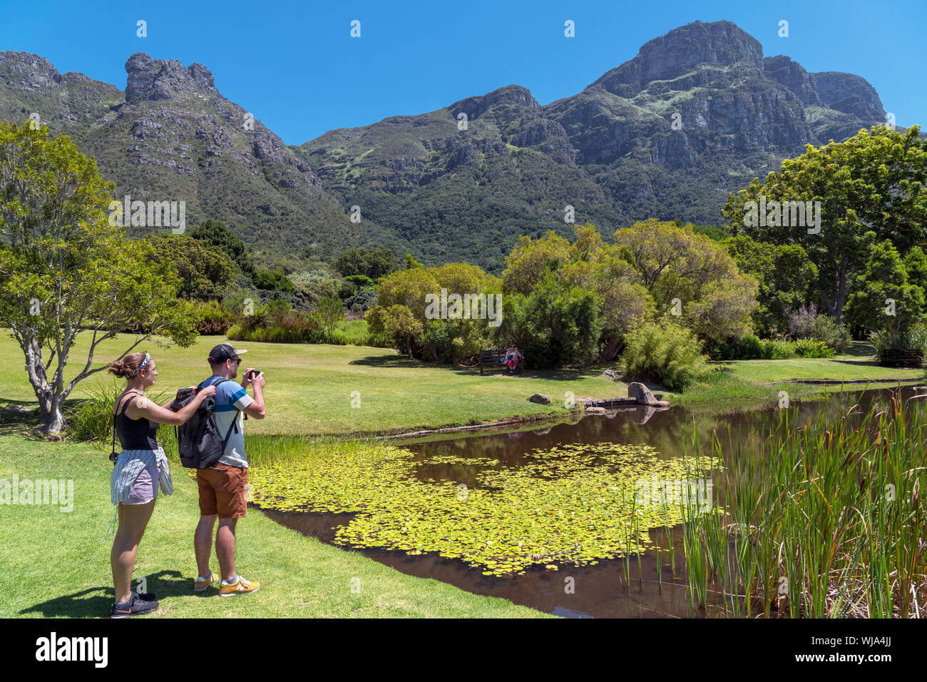 Pareja joven tomando fotos del estanque en Kirstenbosch Jardín Botánico Nacional mirando hacia la cara oriental de la Montaña de la Mesa, Ciudad del Cabo, Sudáfrica Foto de stock