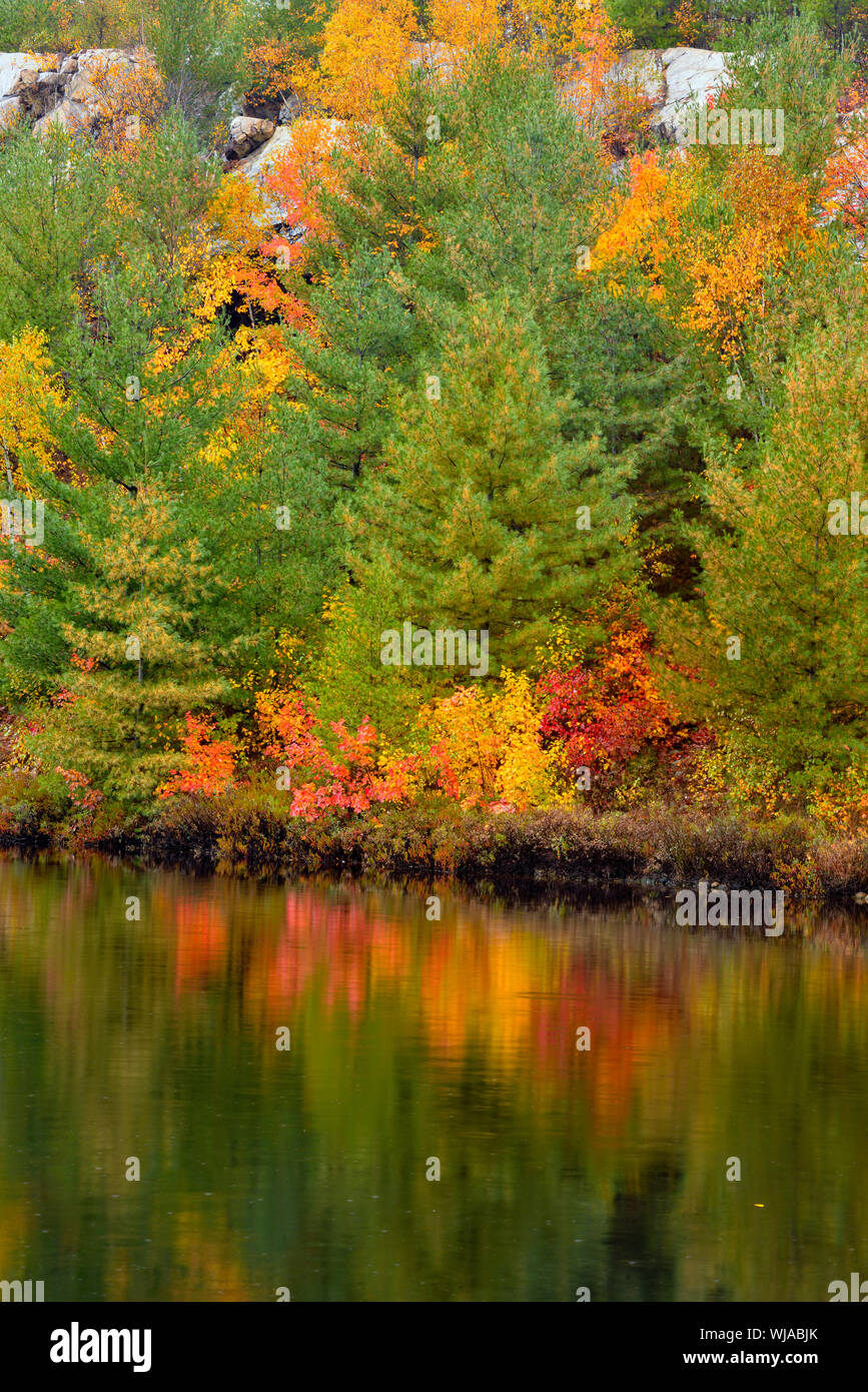 Reflexiones de otoño en el lago Laurentian, mayor en Sudbury, Ontario,  Canadá Fotografía de stock - Alamy