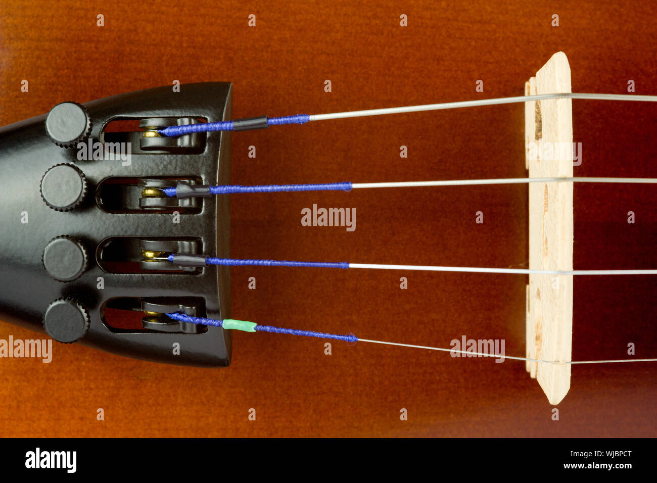 Cordal violín fotografías e imágenes de alta resolución - Alamy