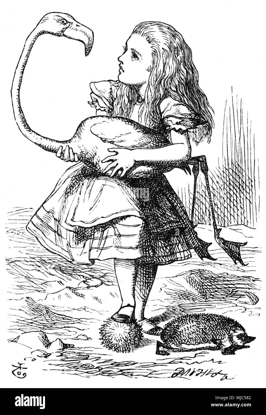 ALICE'S Adventures in Wonderland John Tenniel's 1865 ilustración de Alice jugar croquet con flamingo Foto de stock