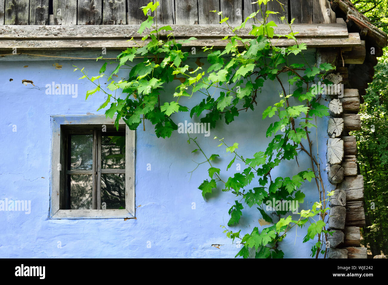 La ventana de una casa tradicional de Sebesu de Jos, condado de Sibiu. ASTRA museo de folklore tradicional de civilización, un museo al aire libre fuera de Sibiu, Tra Foto de stock
