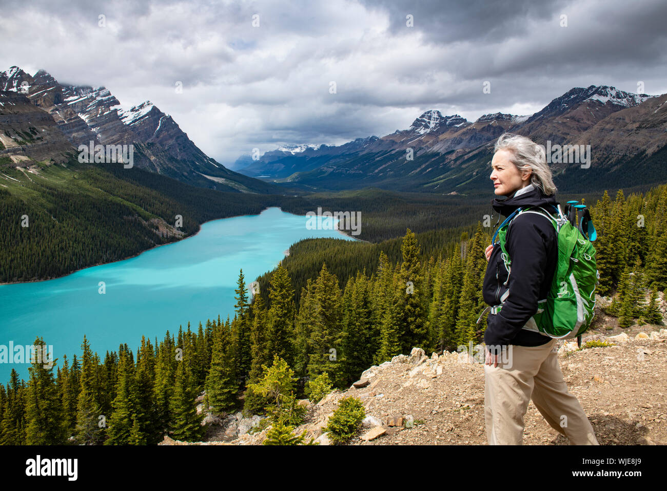 Mujer admirando la vista panorámica del hermoso Lago Peyto en el Parque Nacional Banff, en Alberta, Canadá Foto de stock