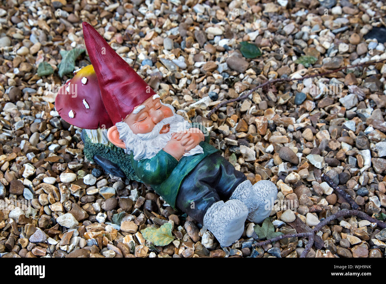 Gnomo de jardín durmiendo con su cabeza apoyada en un toadstool. Foto de stock