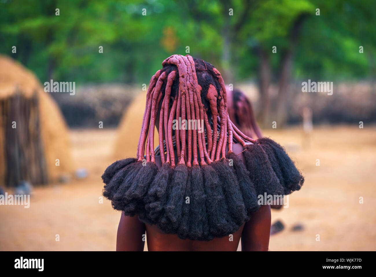 El peinado tradicional de las mujeres en la tribu Himba fotografiado desde atrás Foto de stock