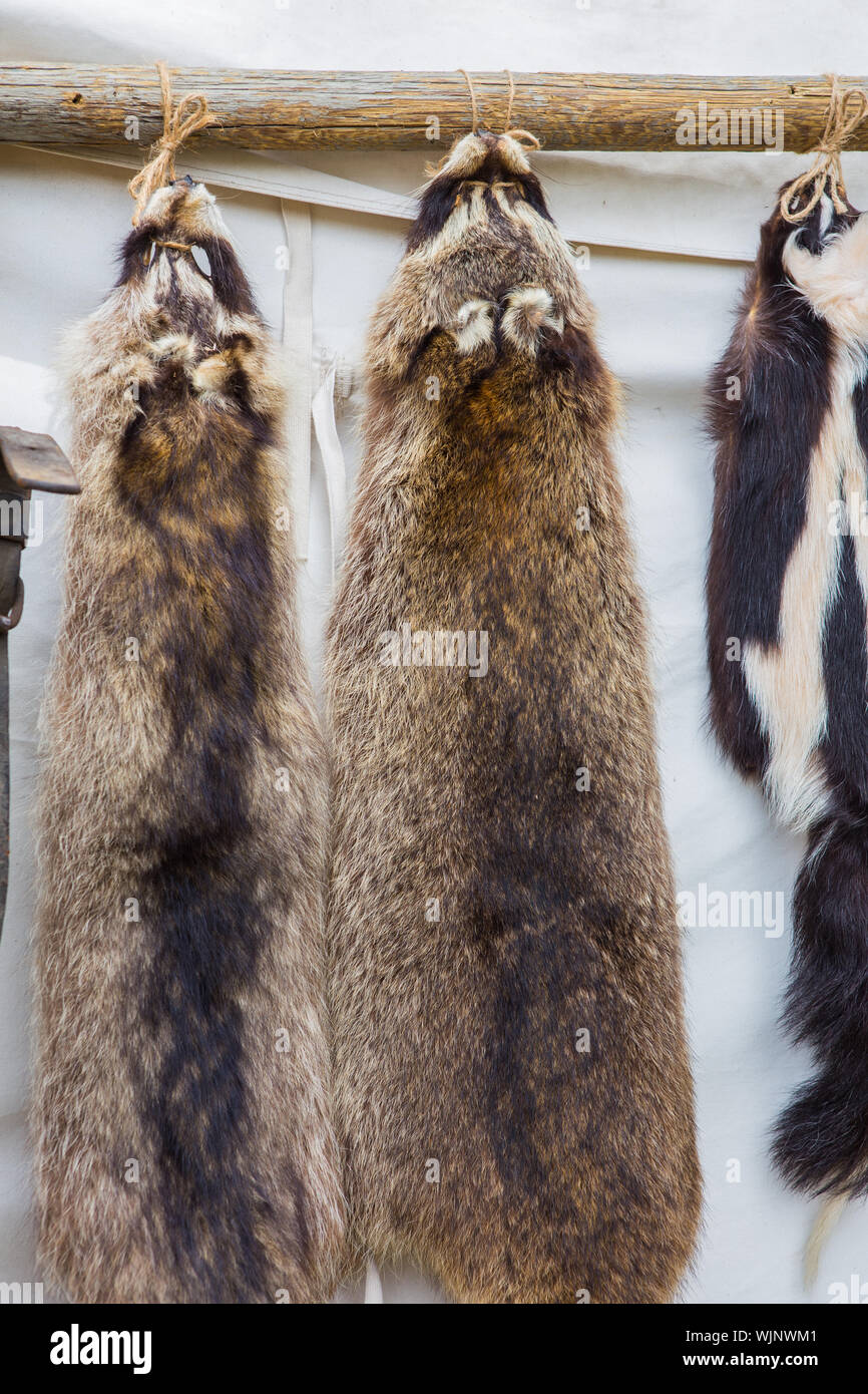 Pieles y cueros de animales para venta en un puesto comercial durante una guerra civil Pieles y cueros de animales para venta en un puesto comercial durante una guerra civil