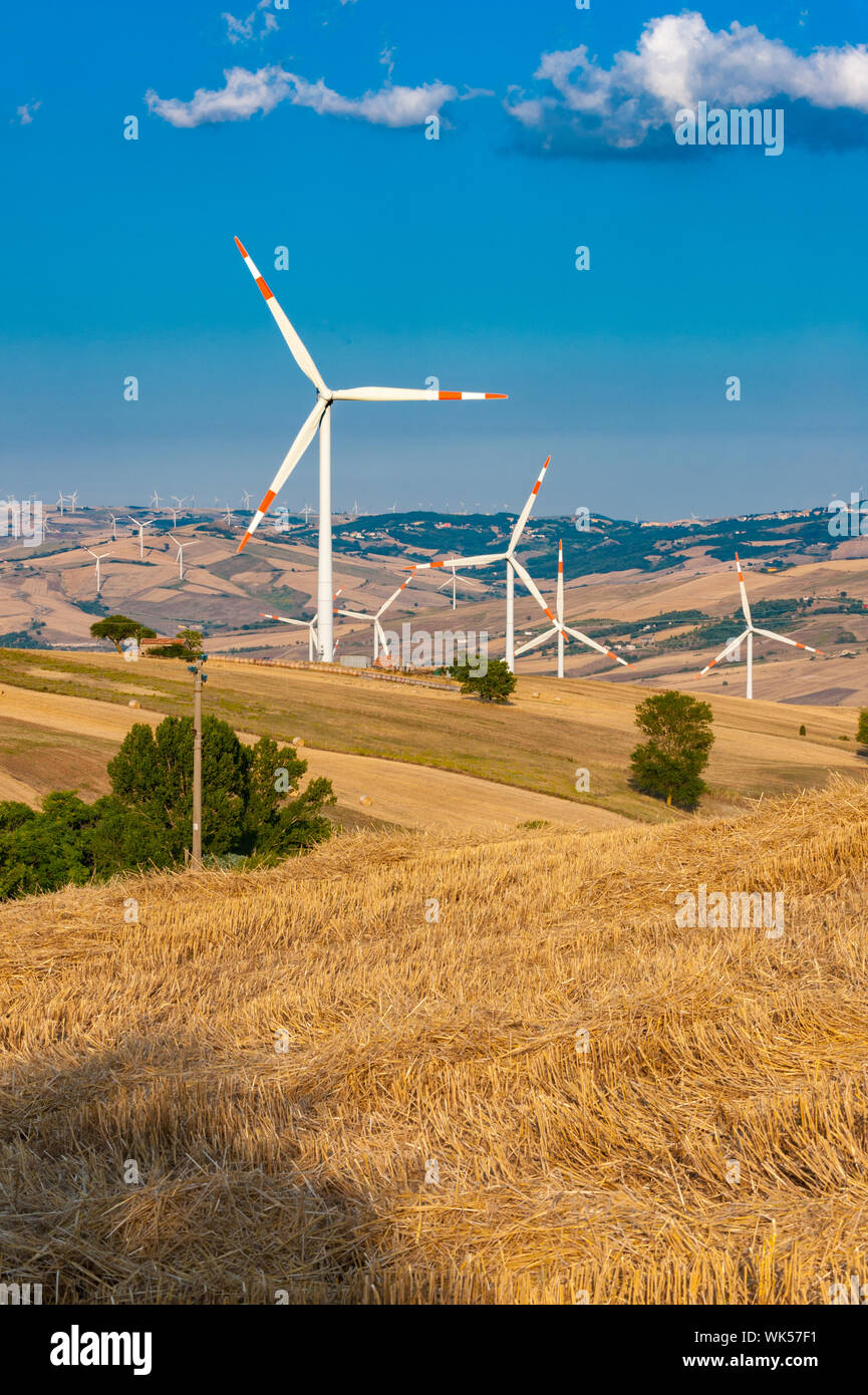 La Capitanata Hills, en el norte de Apulia alberga un gran número de generadores eólicos. Foto de stock