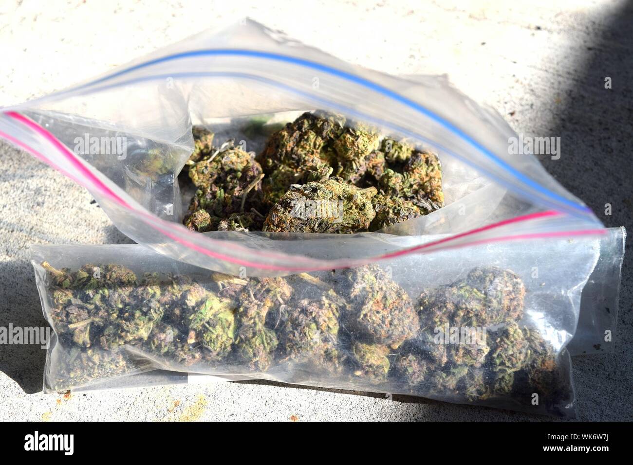 Cerca de la planta de cannabis en una bolsa de plástico Fotografía de stock  - Alamy