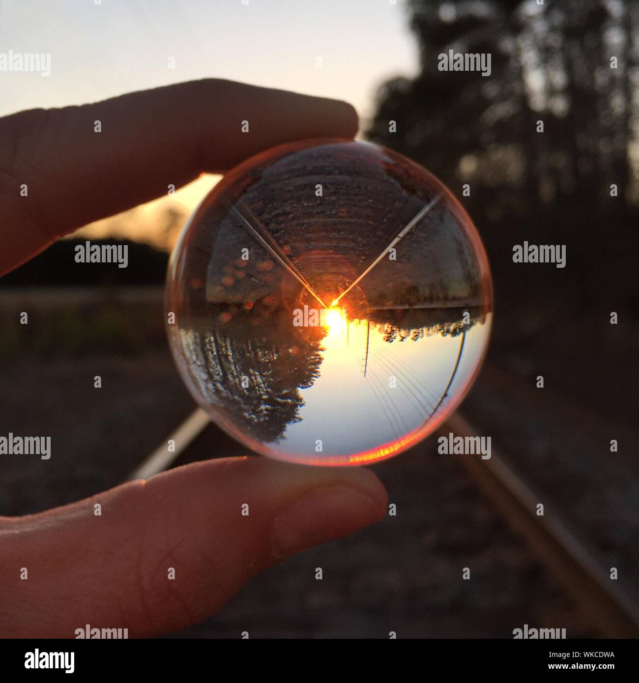 Irreconocible Persona sosteniendo la bola de cristal Foto de stock