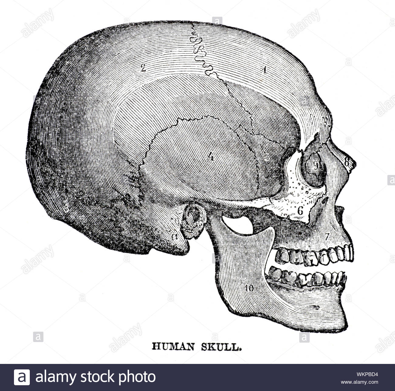 My Image 17