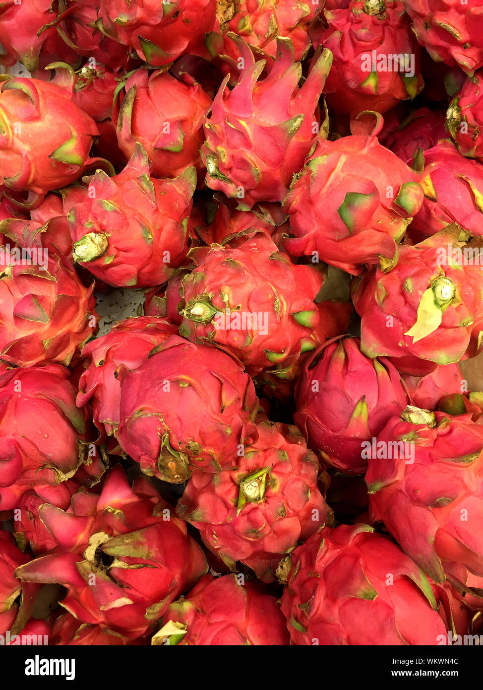 Red pitayas fotografías e imágenes de alta resolución - Alamy
