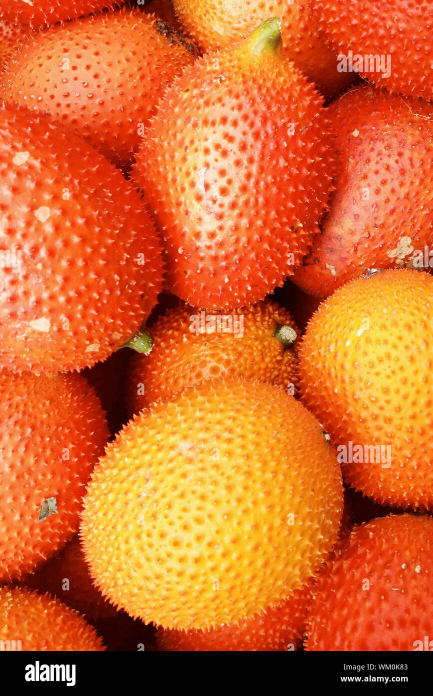 Gac fruta fresca Foto de stock