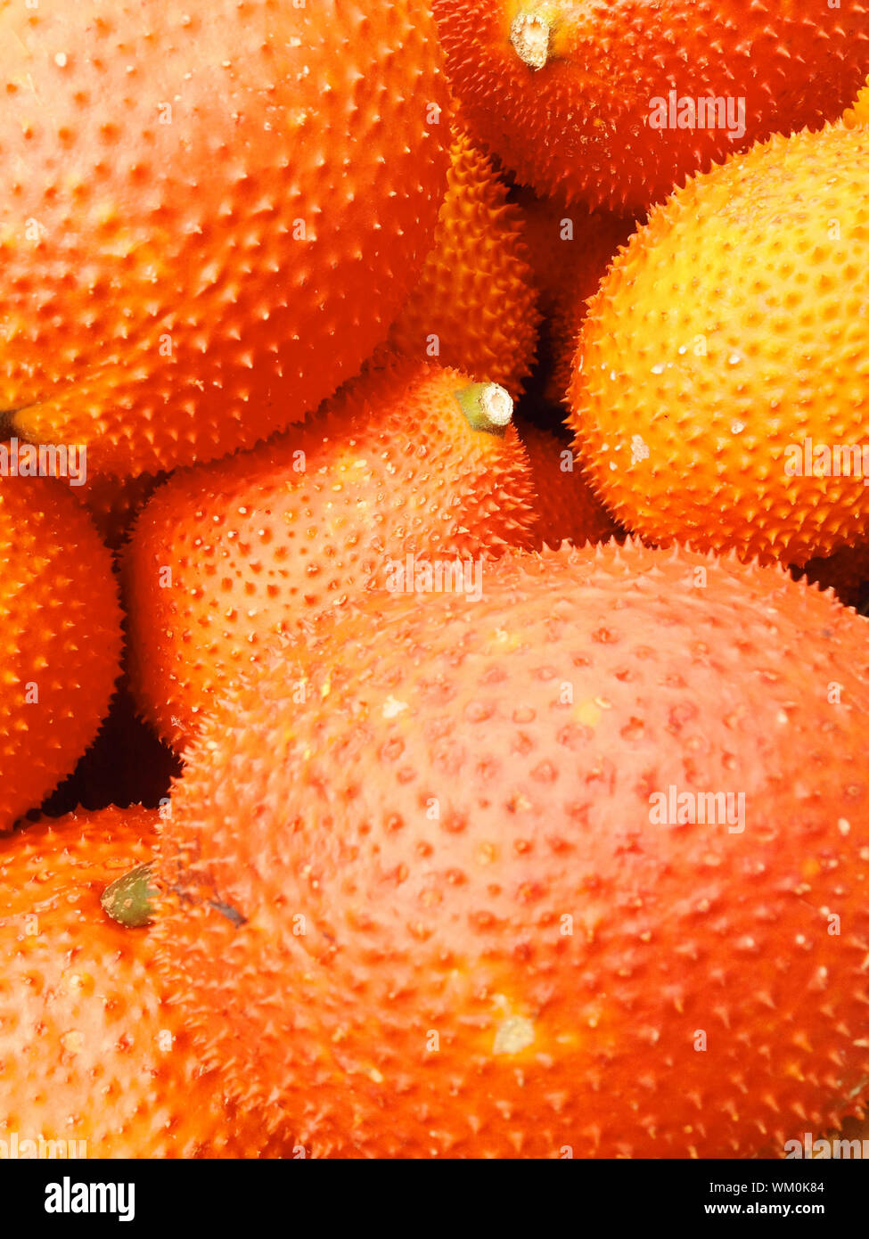 Gac fruta fresca Foto de stock