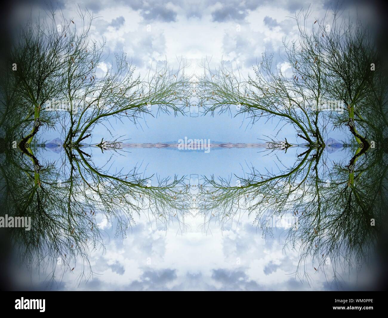 Disparo simétrica de las plantas a través del agua del lago contra el cielo Foto de stock