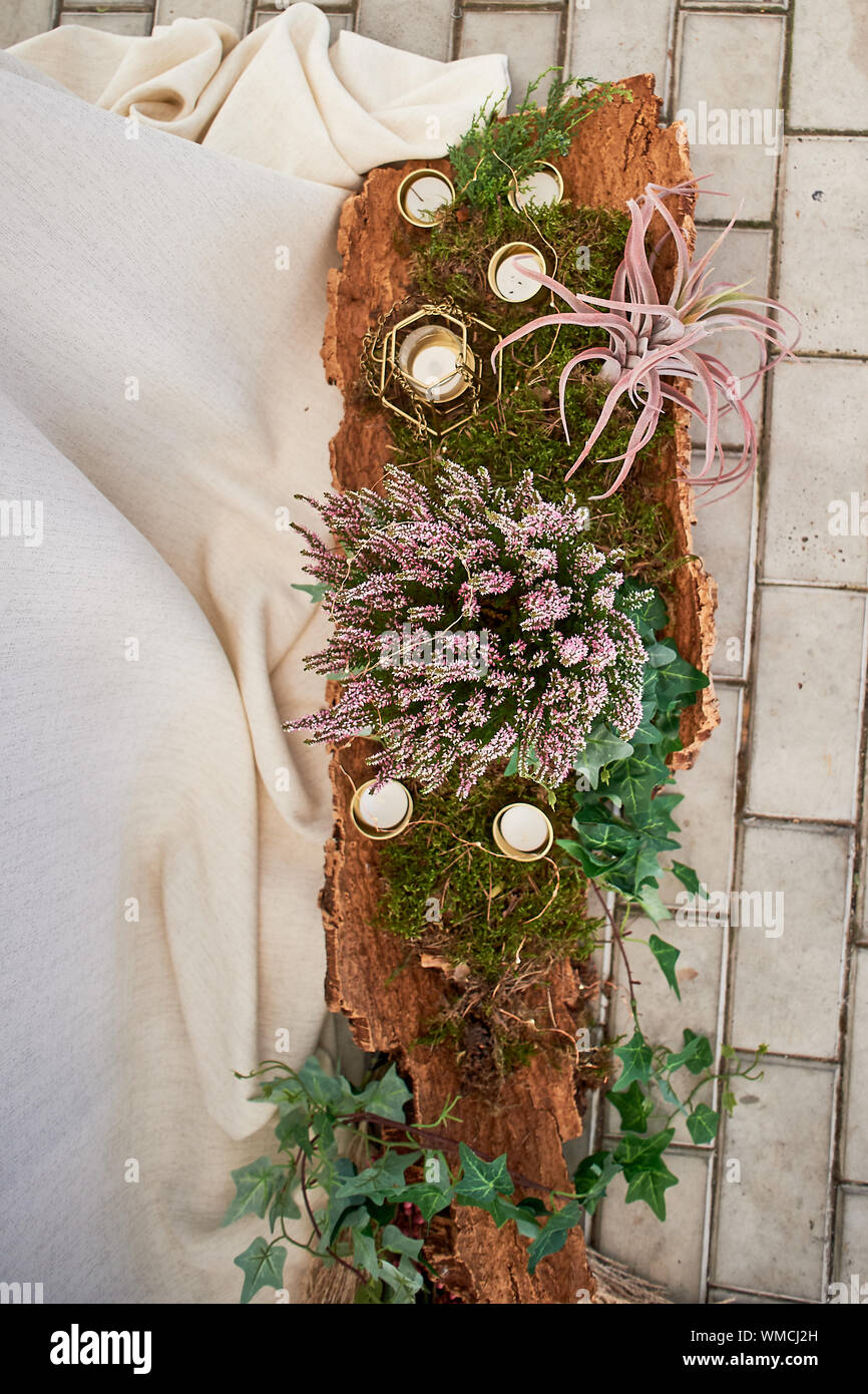 Decoración de boda. Corteza de árbol antiguo decorada con musgo, velas y  flores Fotografía de stock - Alamy