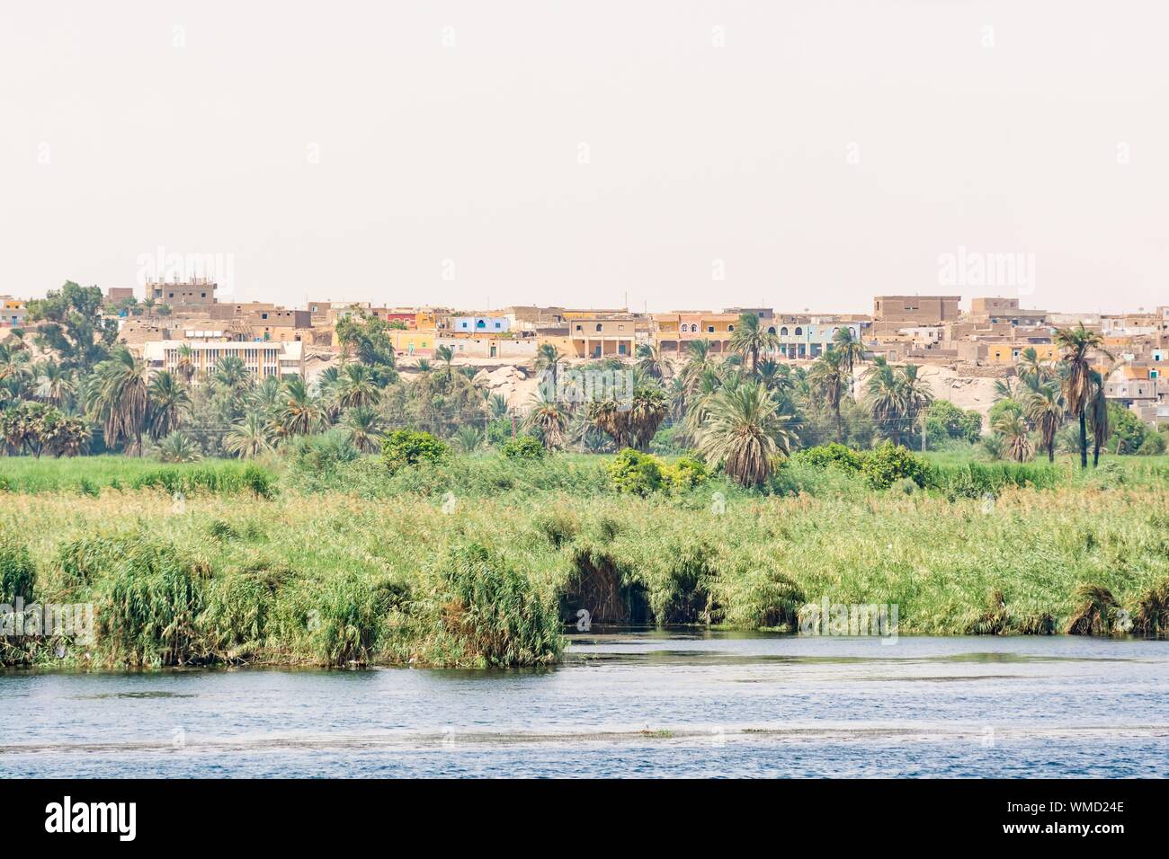Banco de río Nilo visto durante el crucero turístico, Egipto Foto de stock