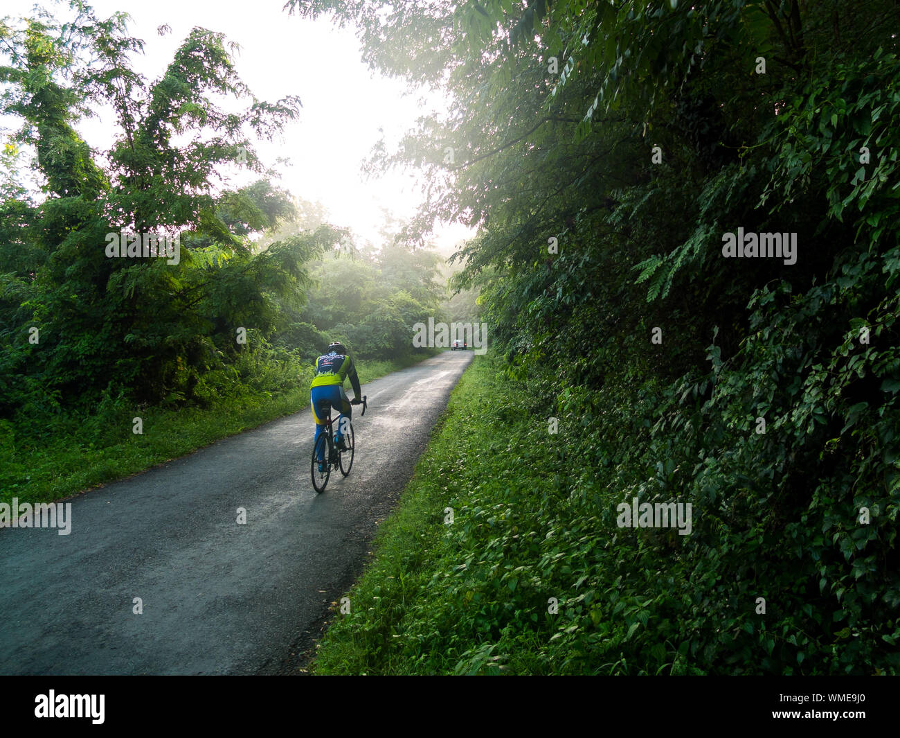Vista trasera del atleta ciclismo en la calle en medio de los árboles Foto de stock