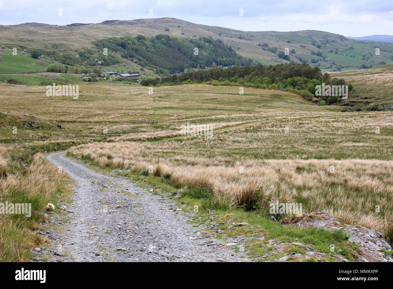 Pista irregular a través de páramos, Migneint Moros, nr Ysbyty Ifan, Snowdonia, noroeste de Gales Foto de stock