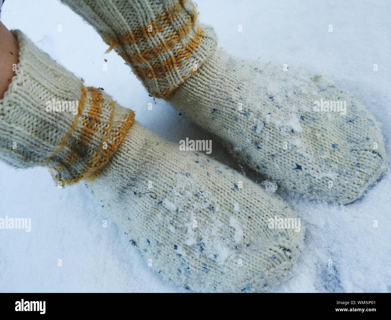 Bajo la sección de persona llevaba calcetines de lana sobre la nieve Foto de stock