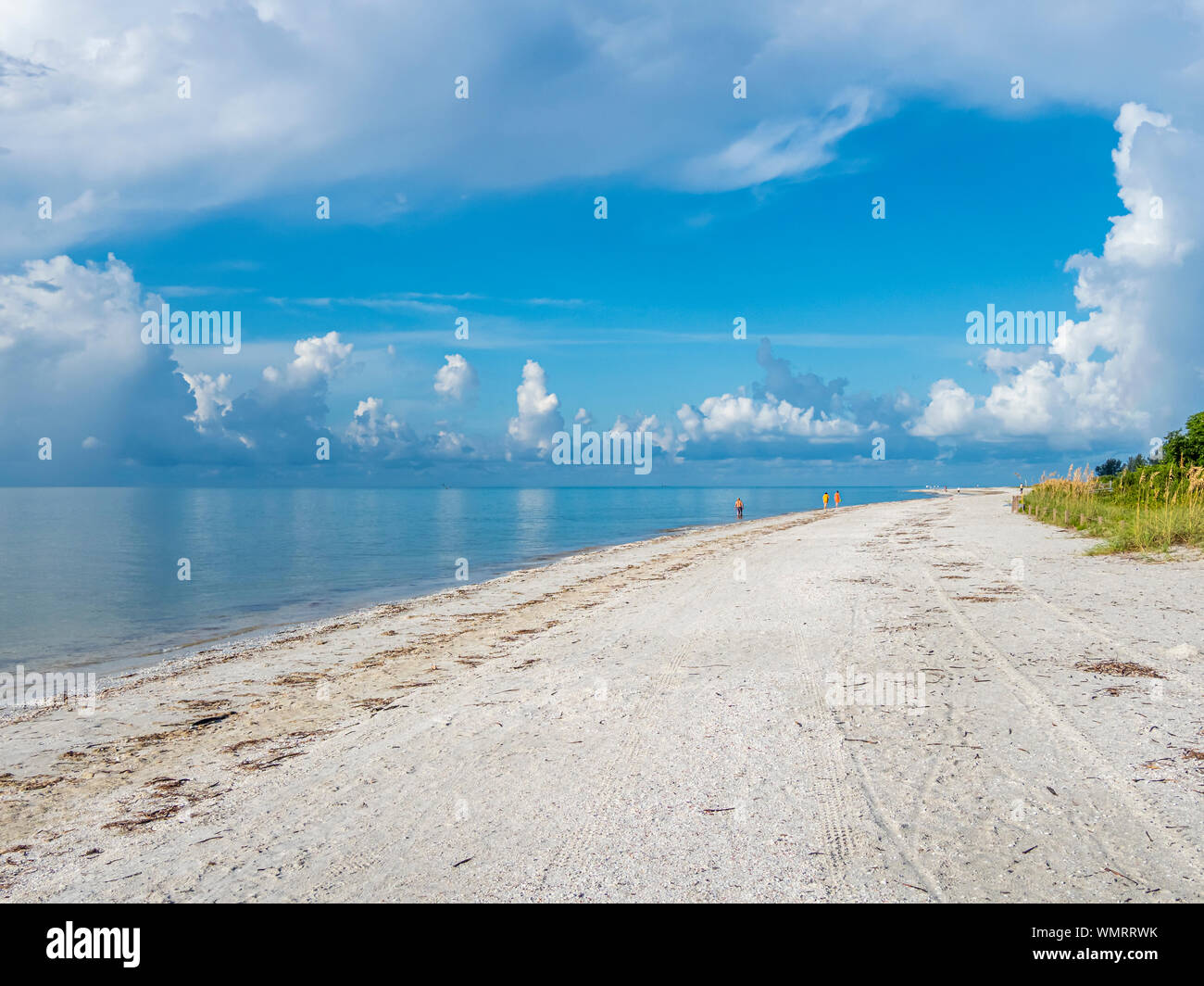 Playa del Golfo de México en Sanibel Island Lighthouse Beach Park en Sanibel Island, Florida Foto de stock
