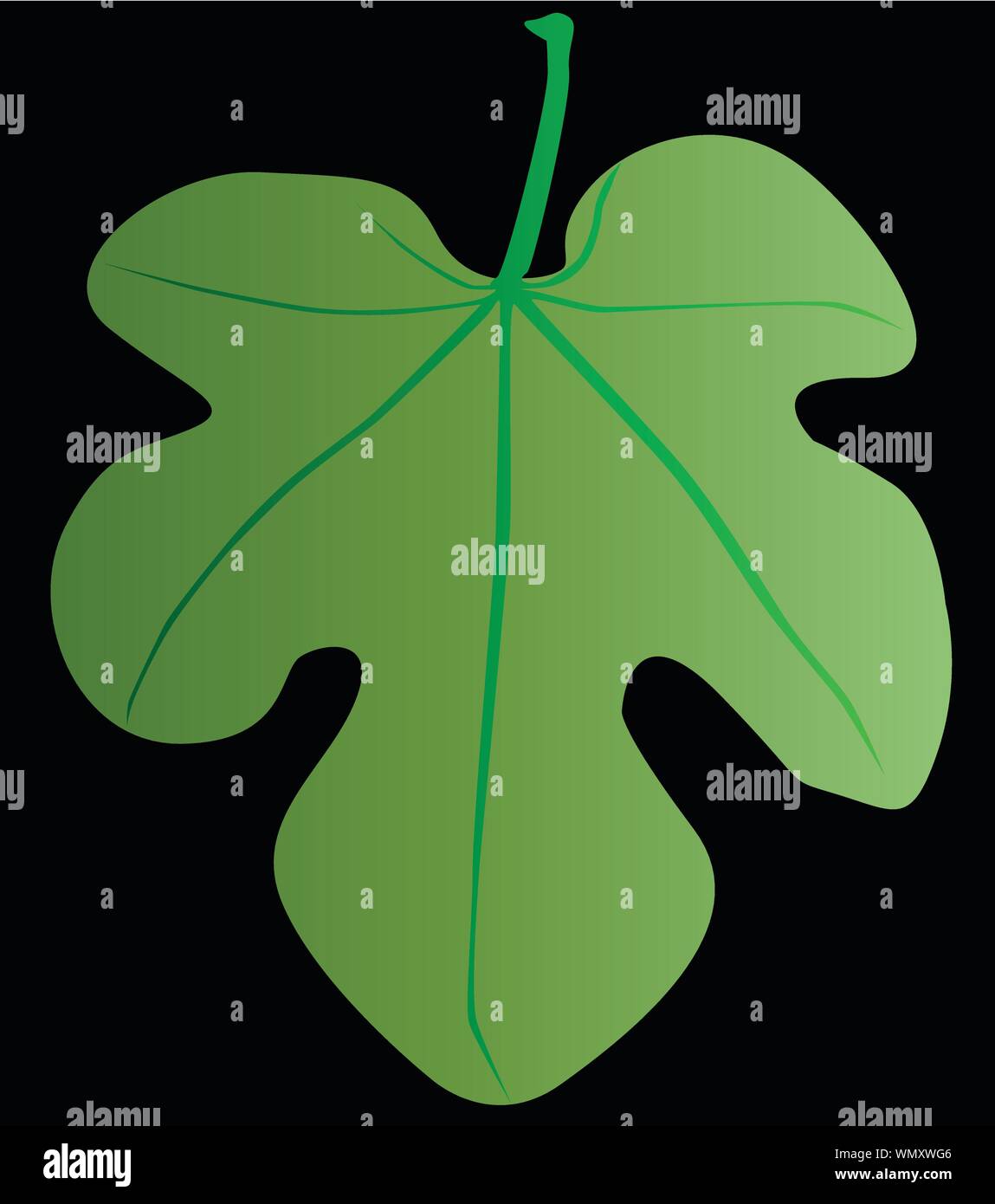 Hoja de Parra Imagen Vector de stock Alamy