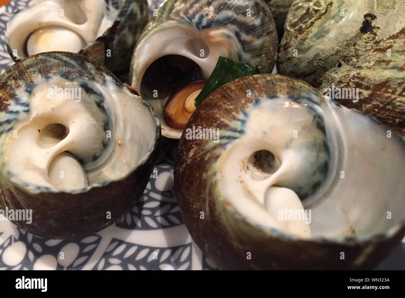 Close-up de caracoles marinos servido en la placa Foto de stock