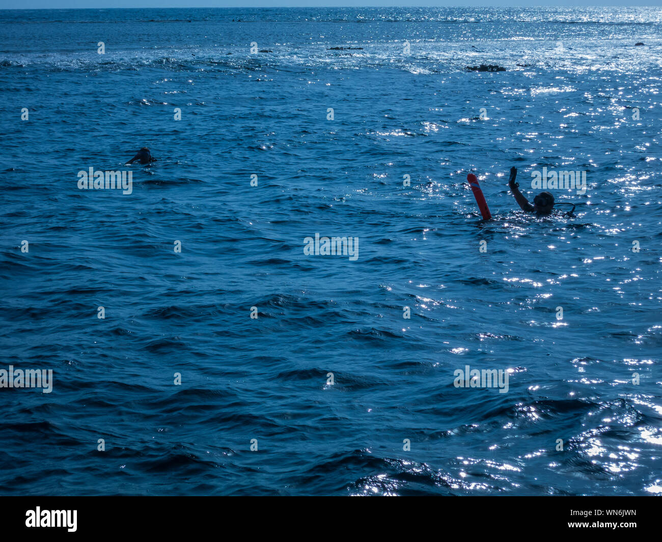 Buceo en el Mar Rojo. Foto de stock