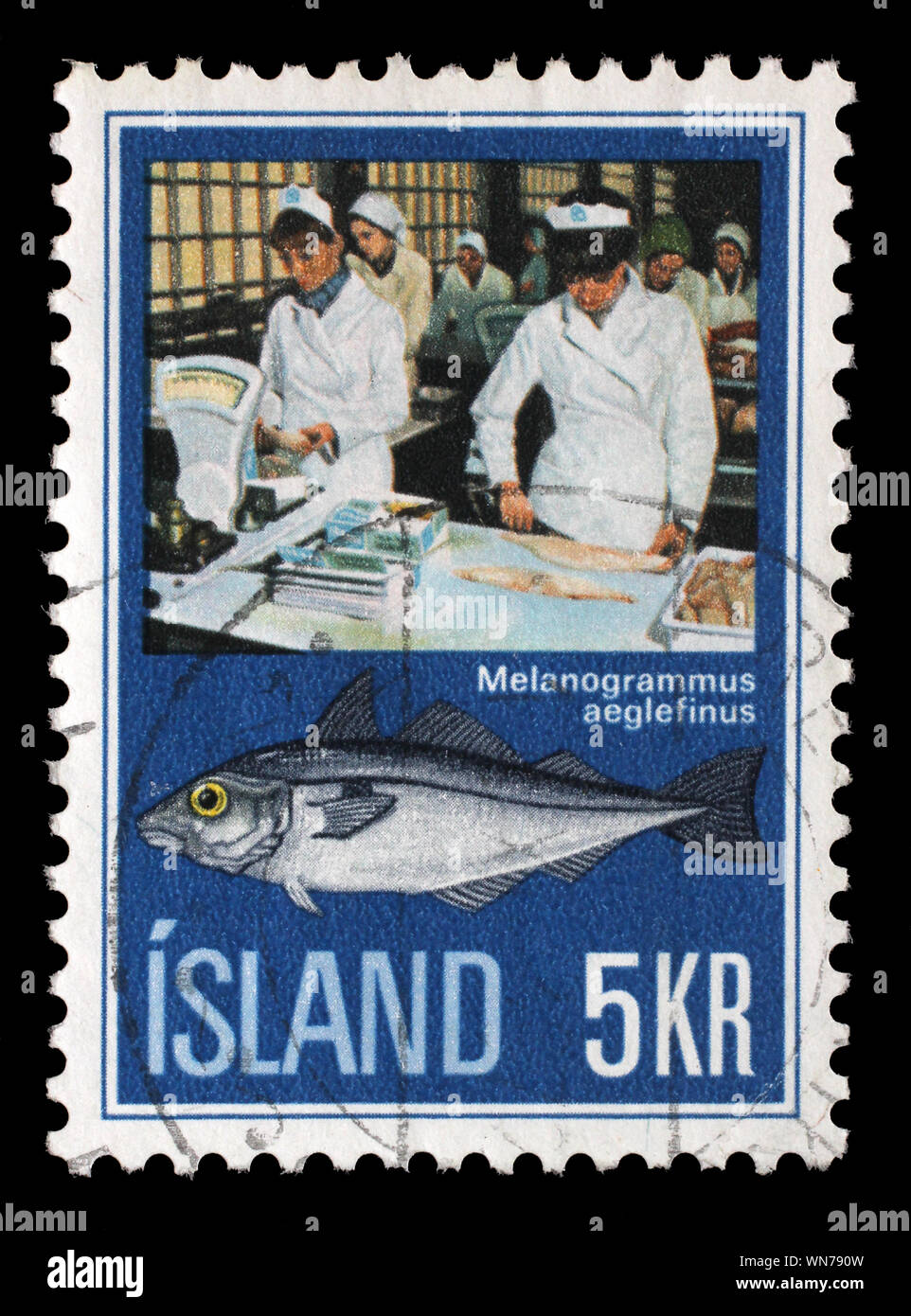 Sello emitido en Islandia muestra Eglefino (Melanogrammus aeglefinus), industria pesquera islandesa, circa 1971. Foto de stock