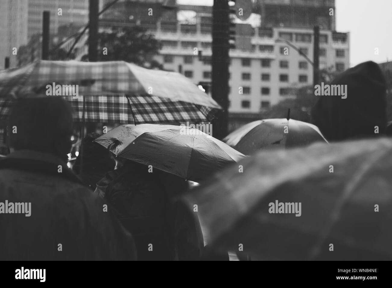 Gente bajo lluvia con sombrillas de stock en blanco y negro - Alamy
