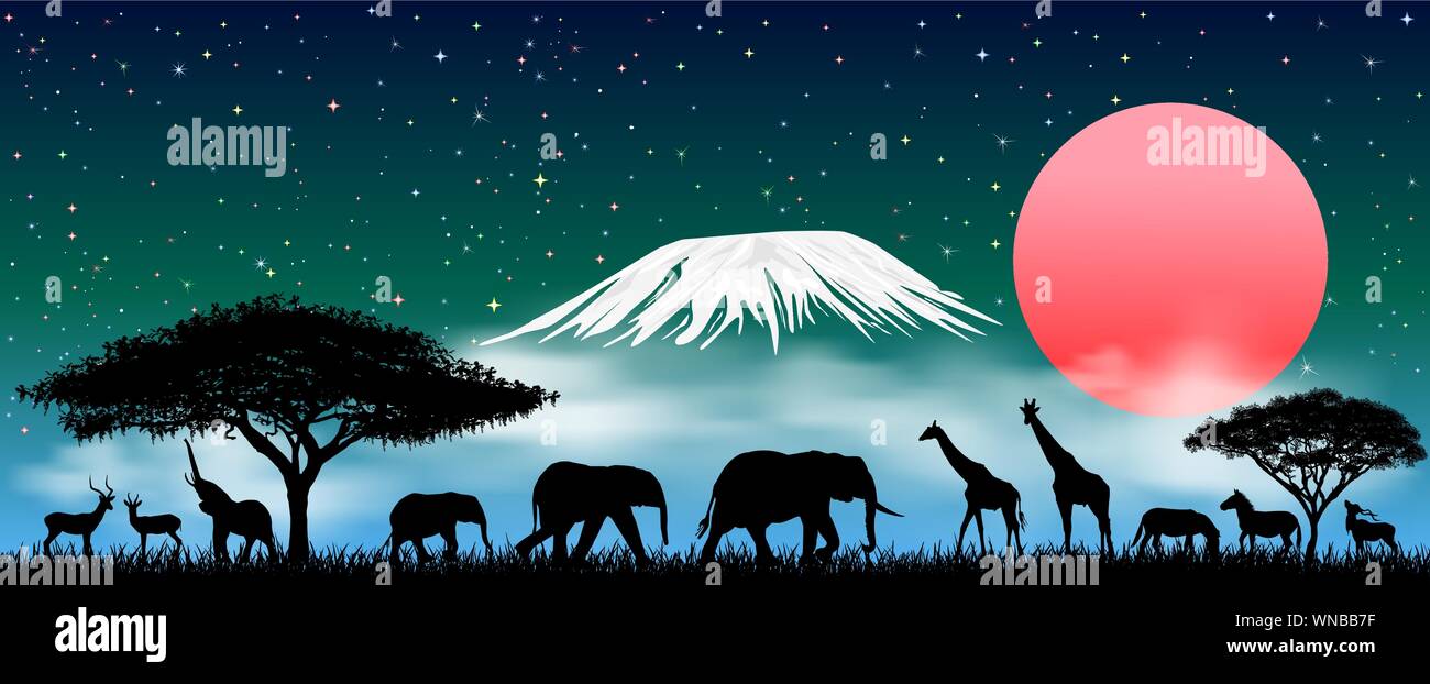 Siluetas de animales salvajes de la sabana africana. Los animales africanos en la noche contra el telón de fondo del Monte Kilimanjaro. Cielo estrellado y las nubes. Ilustración del Vector