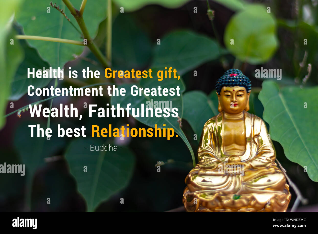 La salud es el regalo más grande, la satisfacción de la mayor riqueza,  fidelidad mejor relación: el Buda Fotografía de stock - Alamy
