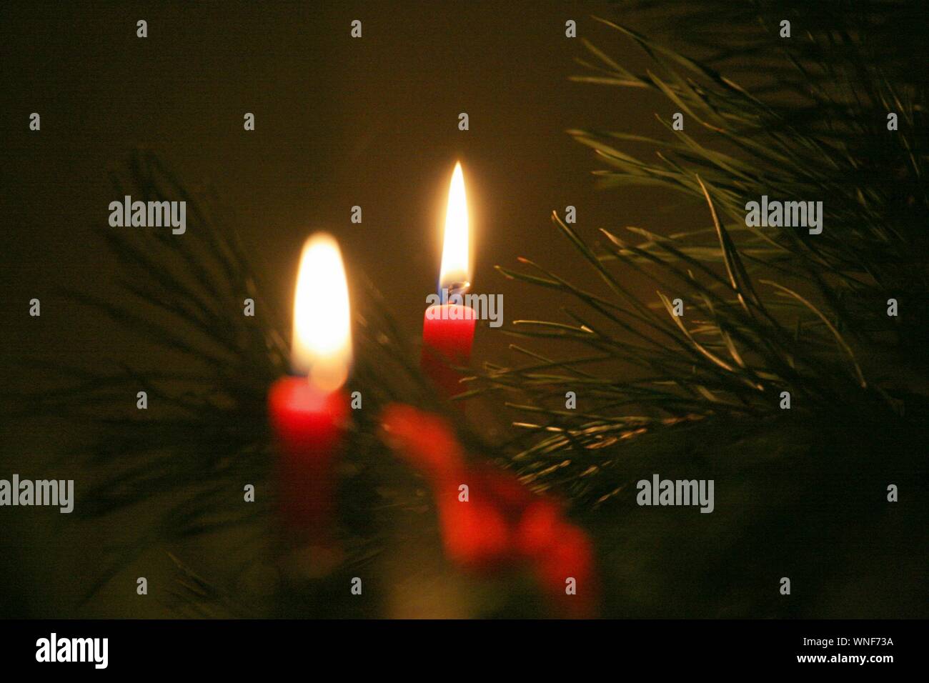 Cerca del árbol de Navidad iluminado por velas en la noche Foto de stock