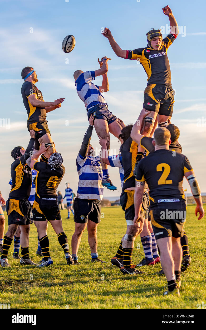 Los jugadores de rugby celebrada en lo alto que se extiende a lo largo de la pelota lanzada en la línea de salida Foto de stock