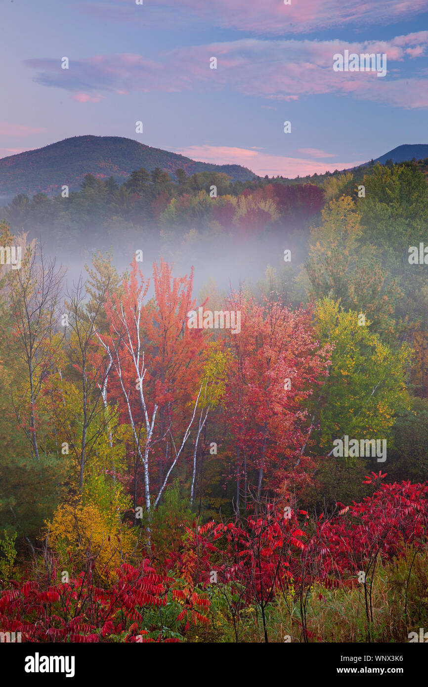 Hojas de otoño colorido y color en el otoño a través de las Montañas Blancas de New Hampshire; hoja-peeping caída divertido conducir en Nueva Inglaterra Foto de stock