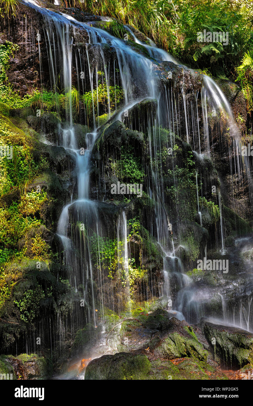 Cascada Fahler, Feldberg, Selva Negra, Alemania Foto de stock