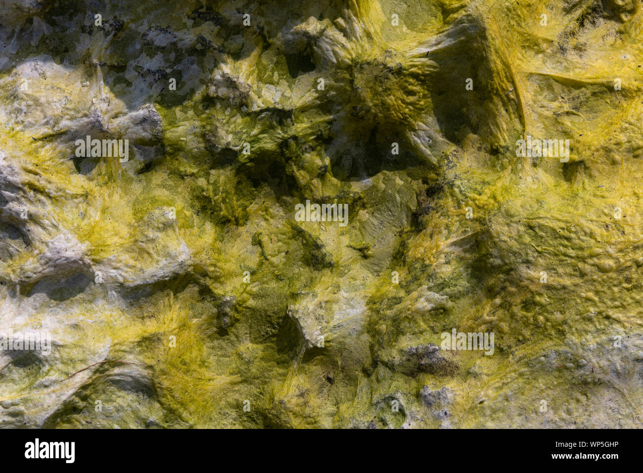 Seeweed y algas marinas secándose en patrones abstractos en la costa de lava basáltica negra de Ponta do Mistério en Ilha Terceira Island en las Azores, Portu Foto de stock