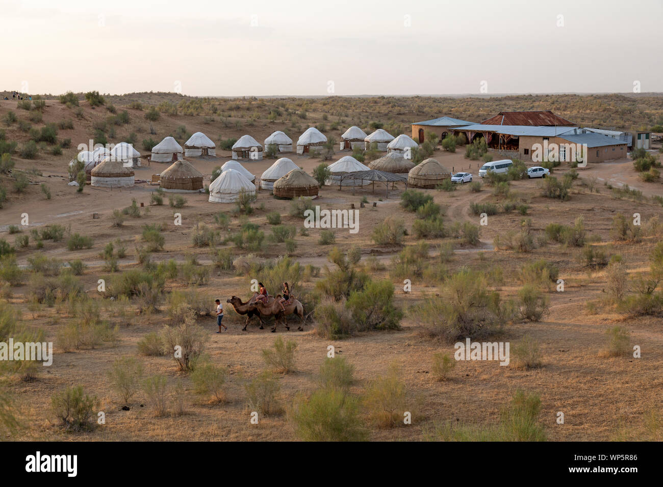 Dos turistas siendo llevado en camellos alrededor del campamento en la yurta Nurata Proyecto de Ecoturismo, cerca del pueblo de Nurata en Uzbekistán. Foto de stock