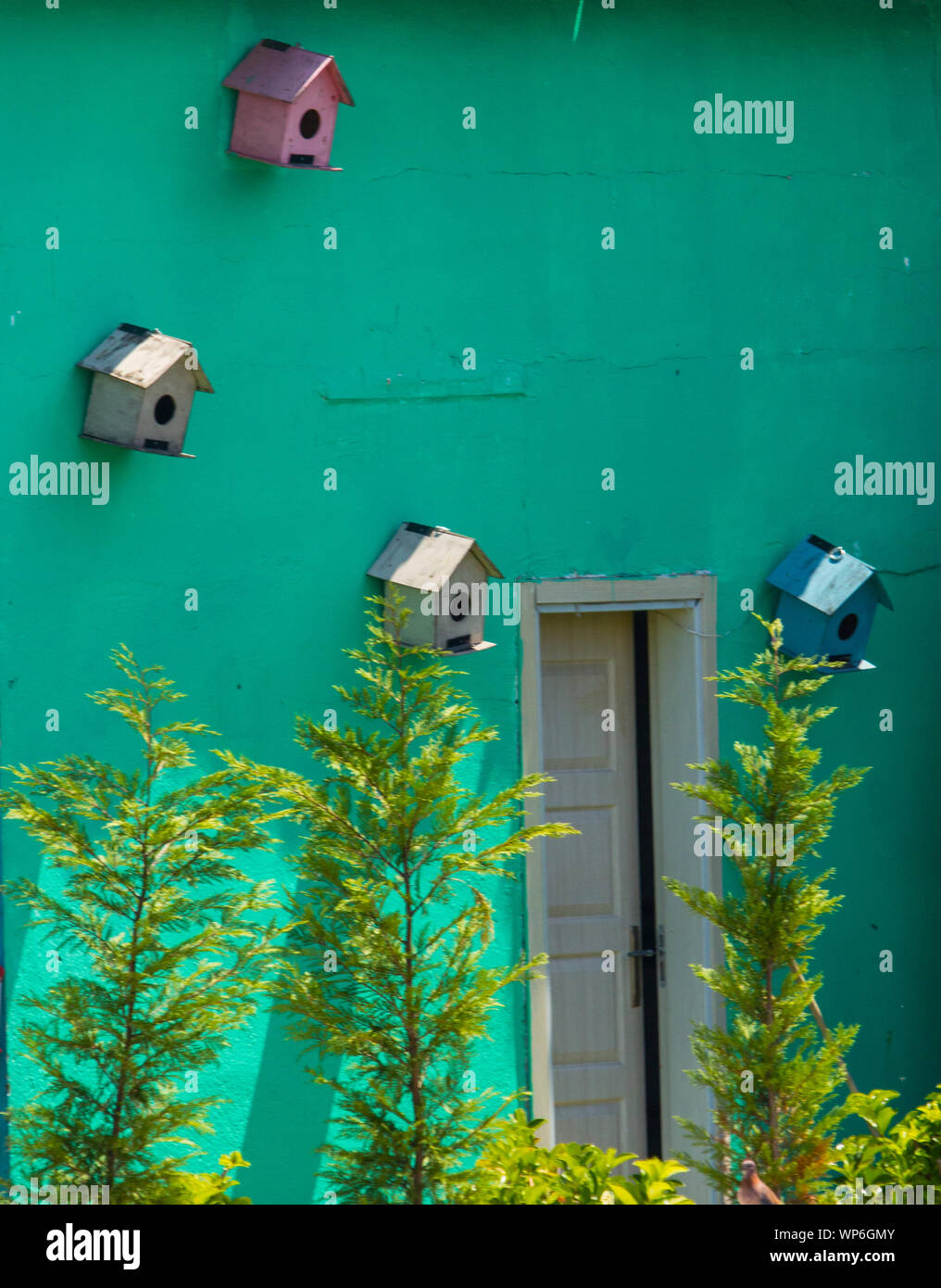 Cuatro nidos de pájaros de colores alternos en una pared verde con una puerta abierta y algunos árboles recién plantados. Concepto de problemas de vivienda. Foto de stock