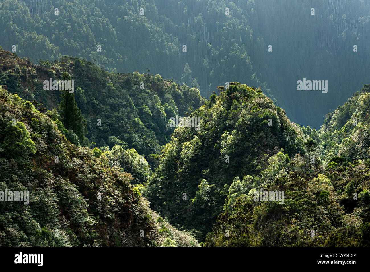 Antena increíble paisaje de las verdes colinas de cuento de hadas de un lugar llamado Valle de Lombadas en la isla de Sao Miguel, Azores, Portugal Foto de stock